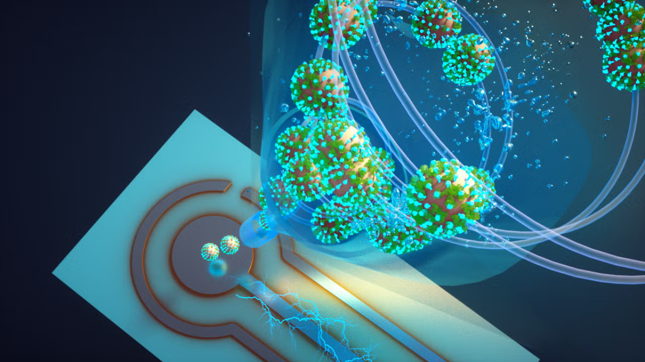 Virus Imagery