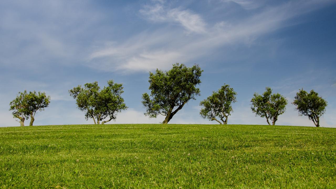 Environmental Engineering