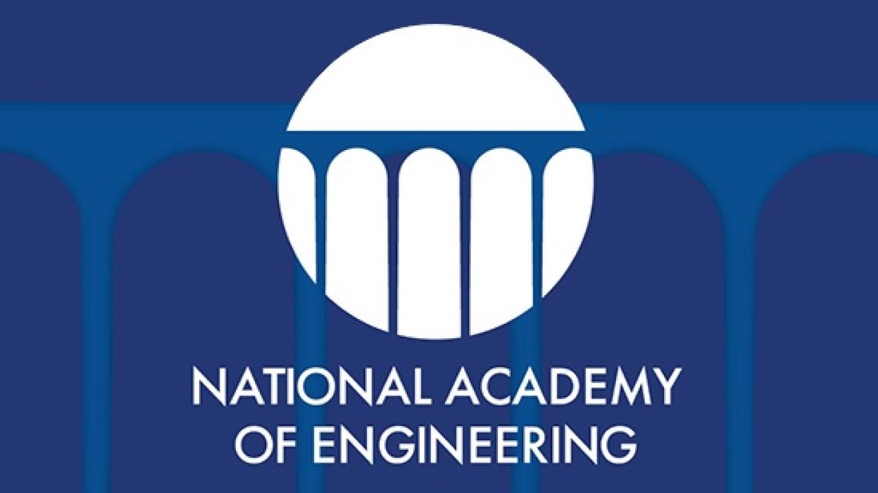 NAE Logo