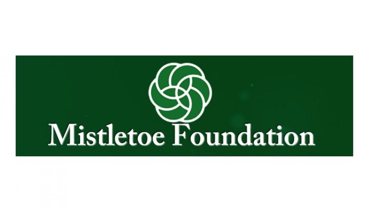 Mistletoe Logo