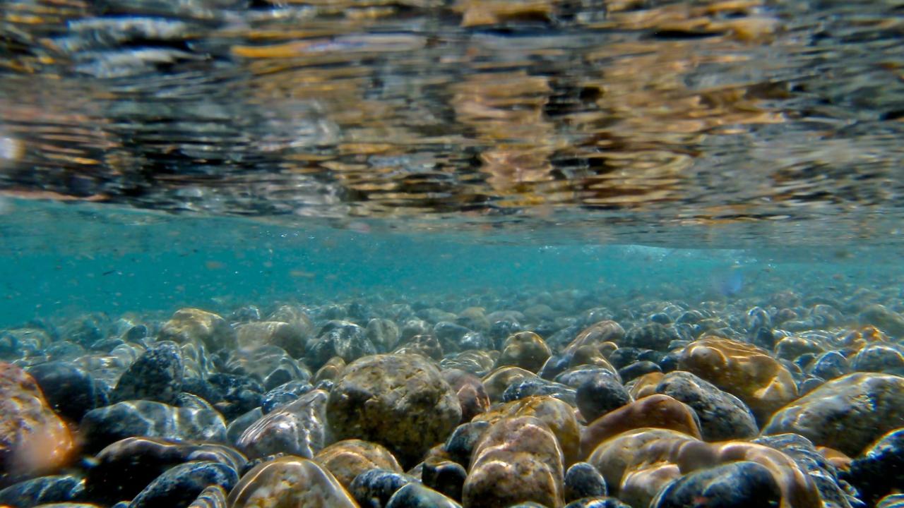 Photo by Brant Allen Tahoe Clarity