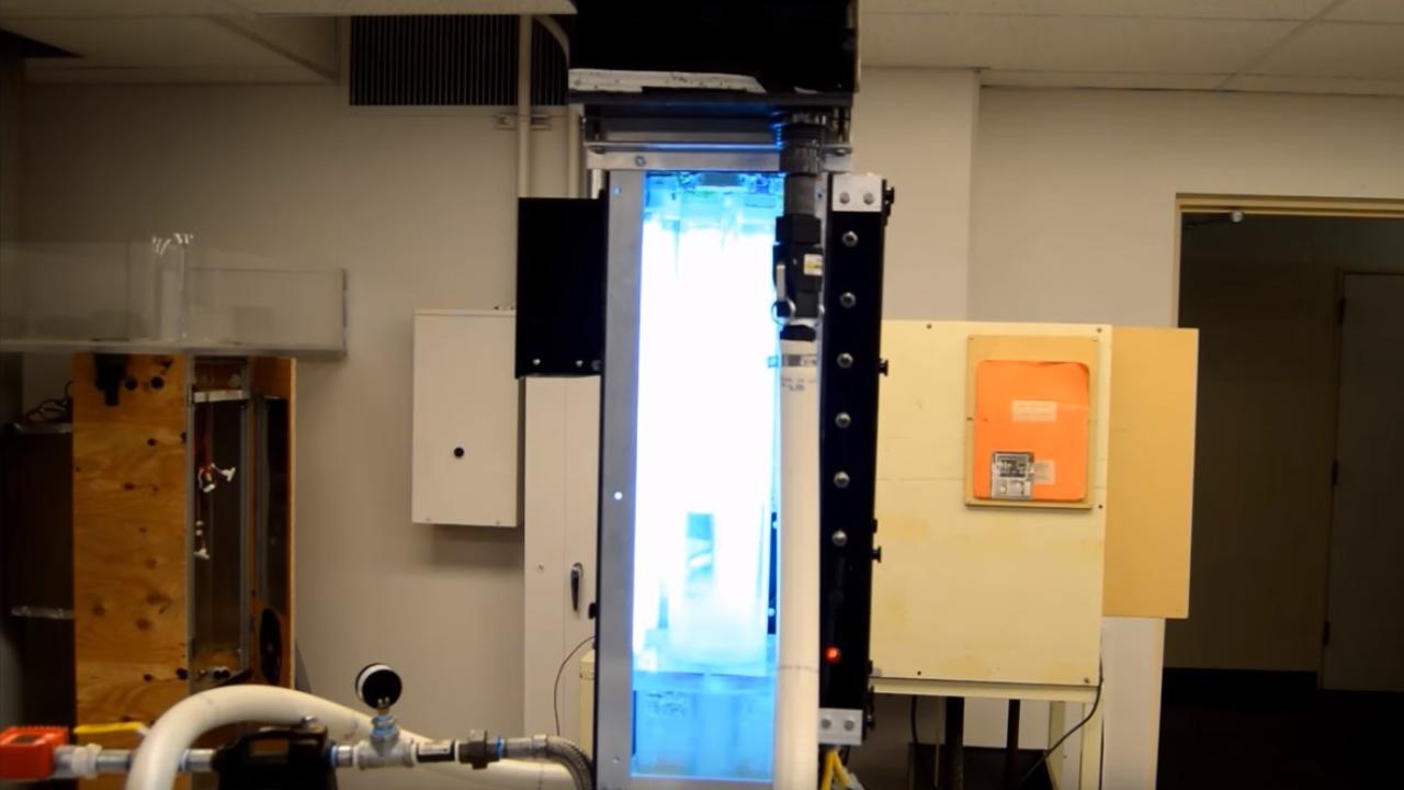 UV light water disinfection devices