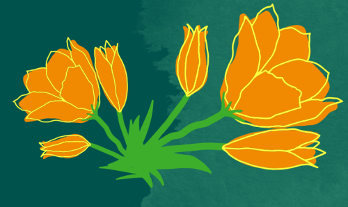 digital art of orange poppies against green background