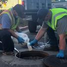 Two workers collecting wastewater samples near an open manhole.